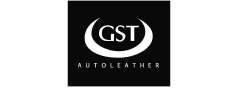 GST logo a color